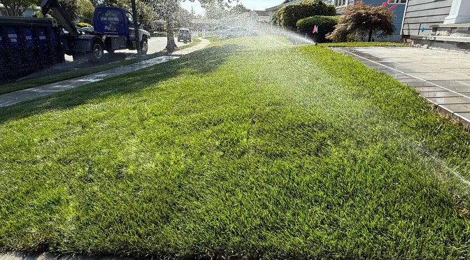 Sod Install Day – Plainview, NY 11803